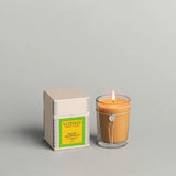 Candle - Island Grapefruit 6.8oz